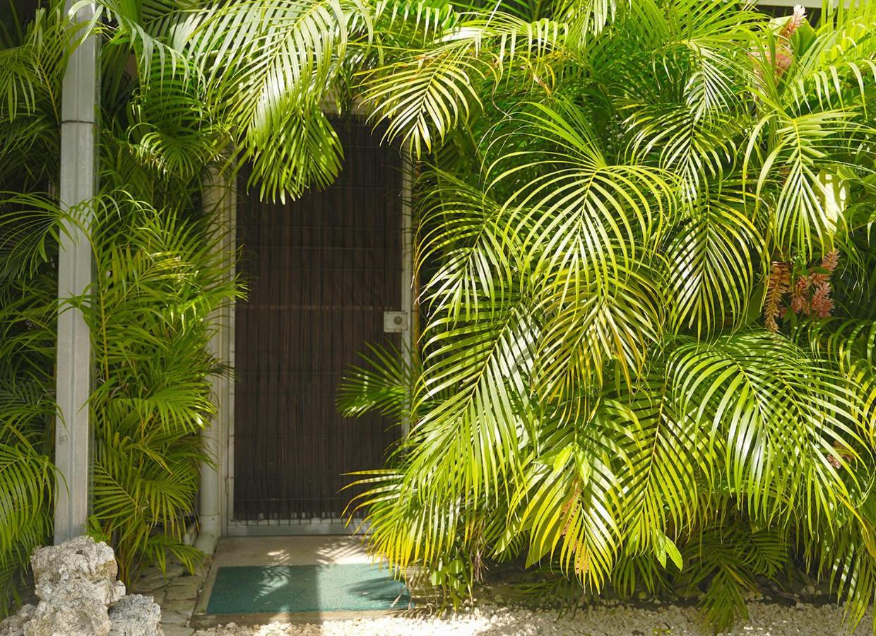 Apartamentos Y Studios Brisas Del Mar Santa Teresa Playa Santa Teresa  Eksteriør bilde